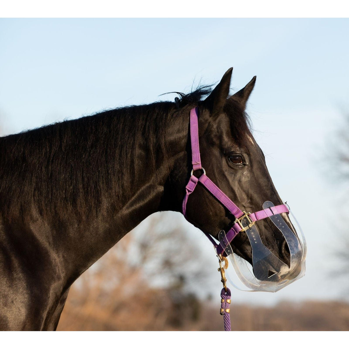 Thinline Flexible Filly Grazing Muzzle