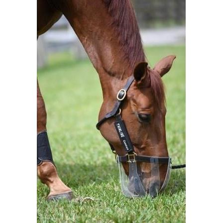 Thinline Flexible Filly Grazing Muzzle