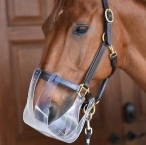 Thinline Flexible Filly Grazing Muzzle