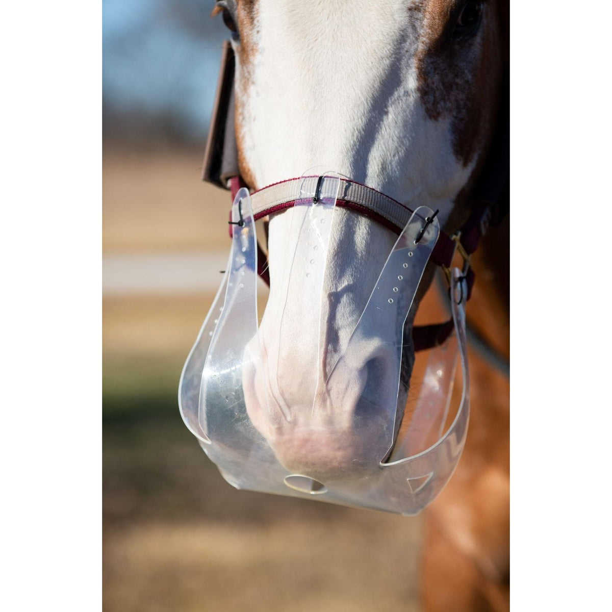 Thinline Flexible Filly Grazing Muzzle