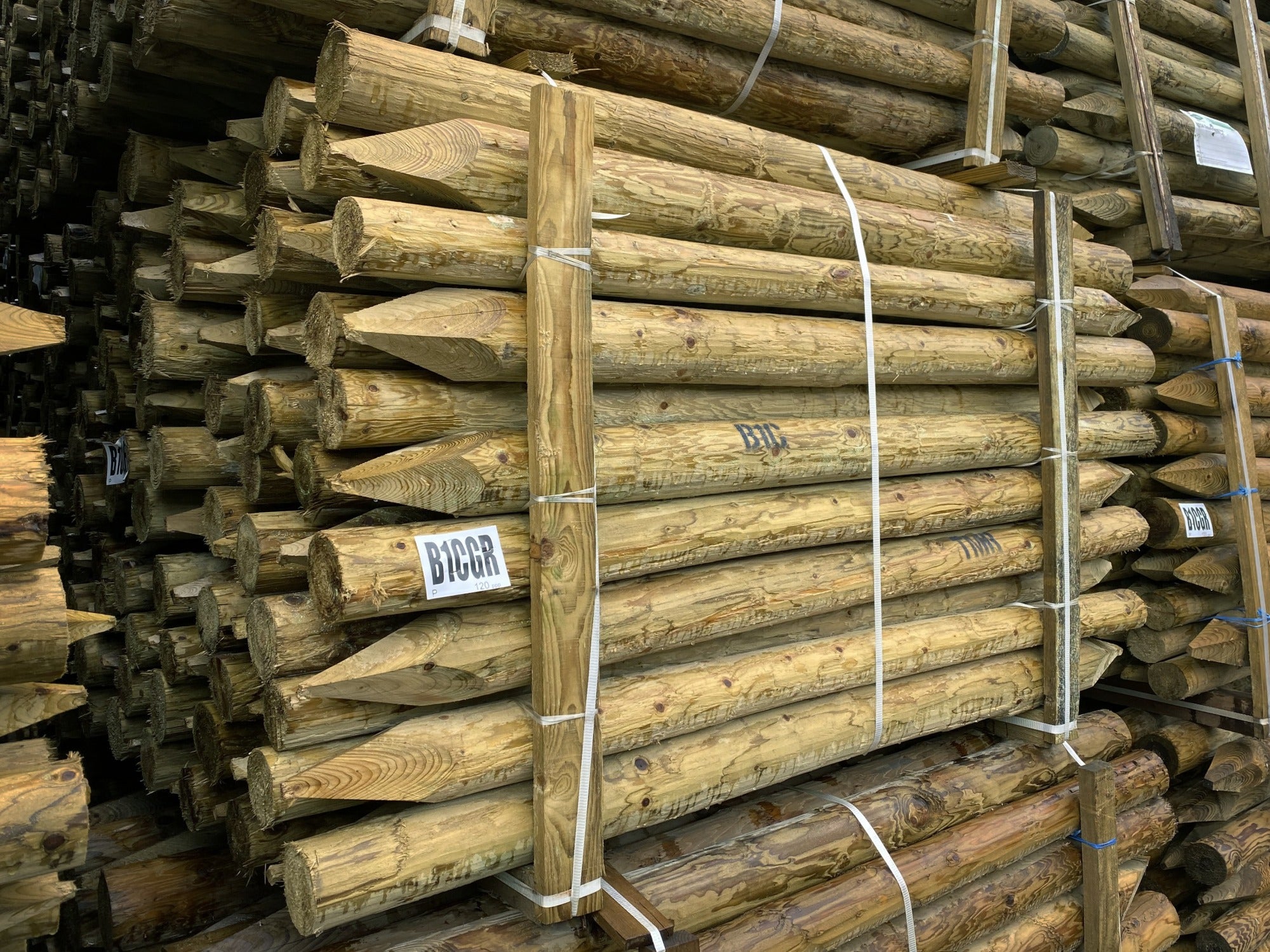 Treated Stake - 1.65m X 75-100mm