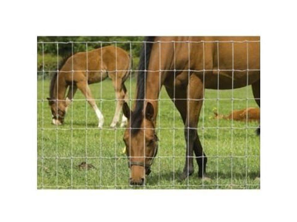 Hampton HT13/122/7.5 Horse Net - 50m