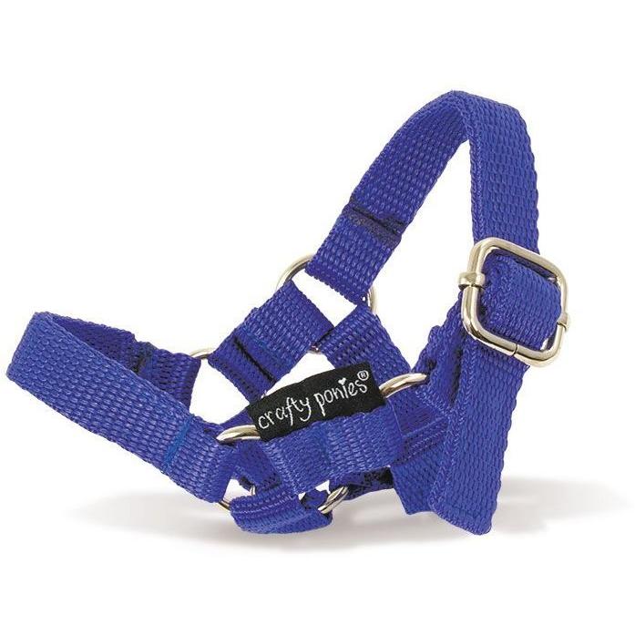 Crafty Ponies Headcollar