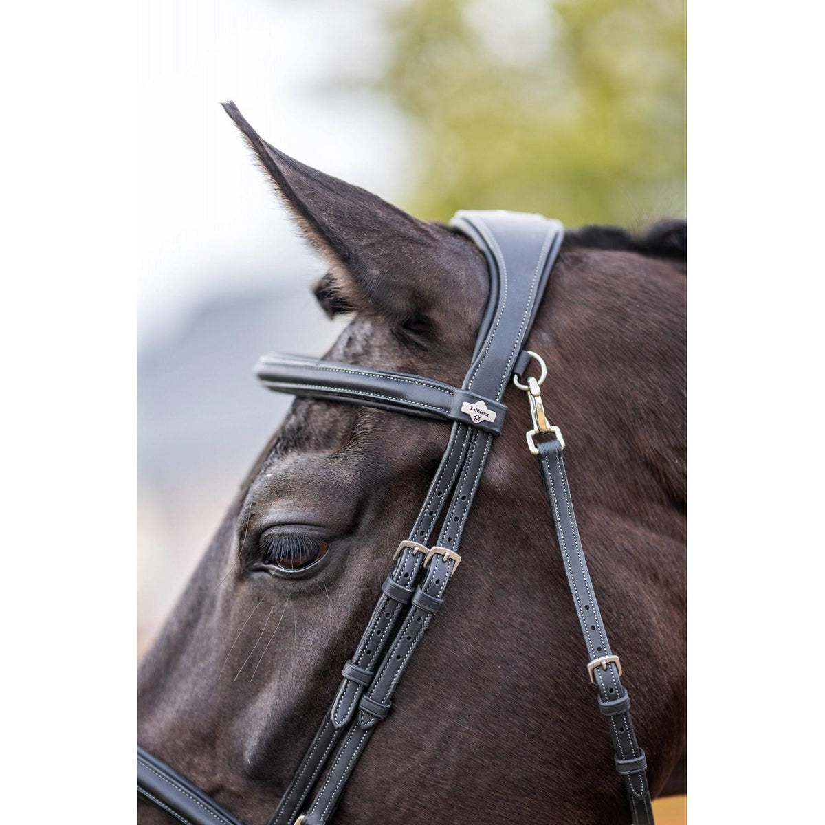 LeMieux Kudos Work Bridle