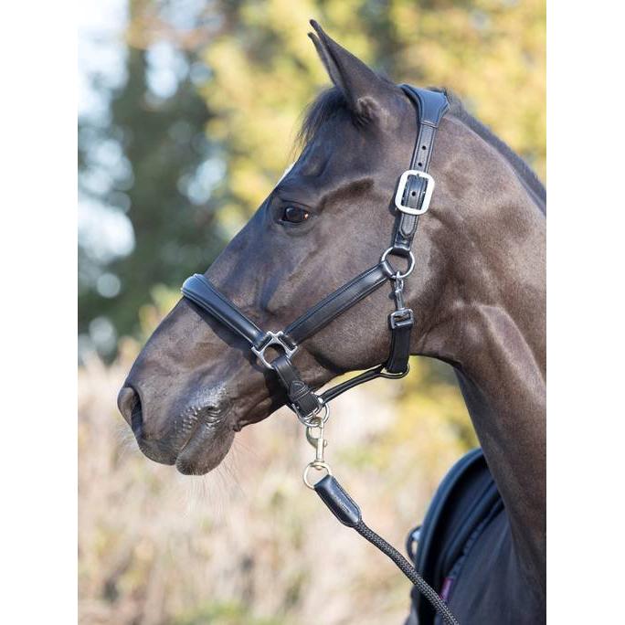 LeMieux Anatomic Headcollar