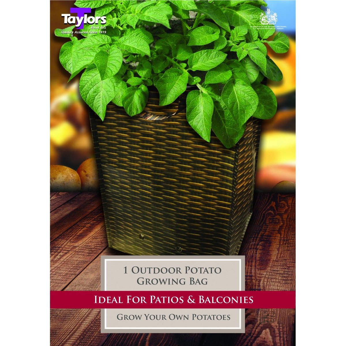 Potato - Growing Bag