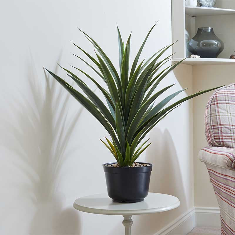 SG Faux Houseplant