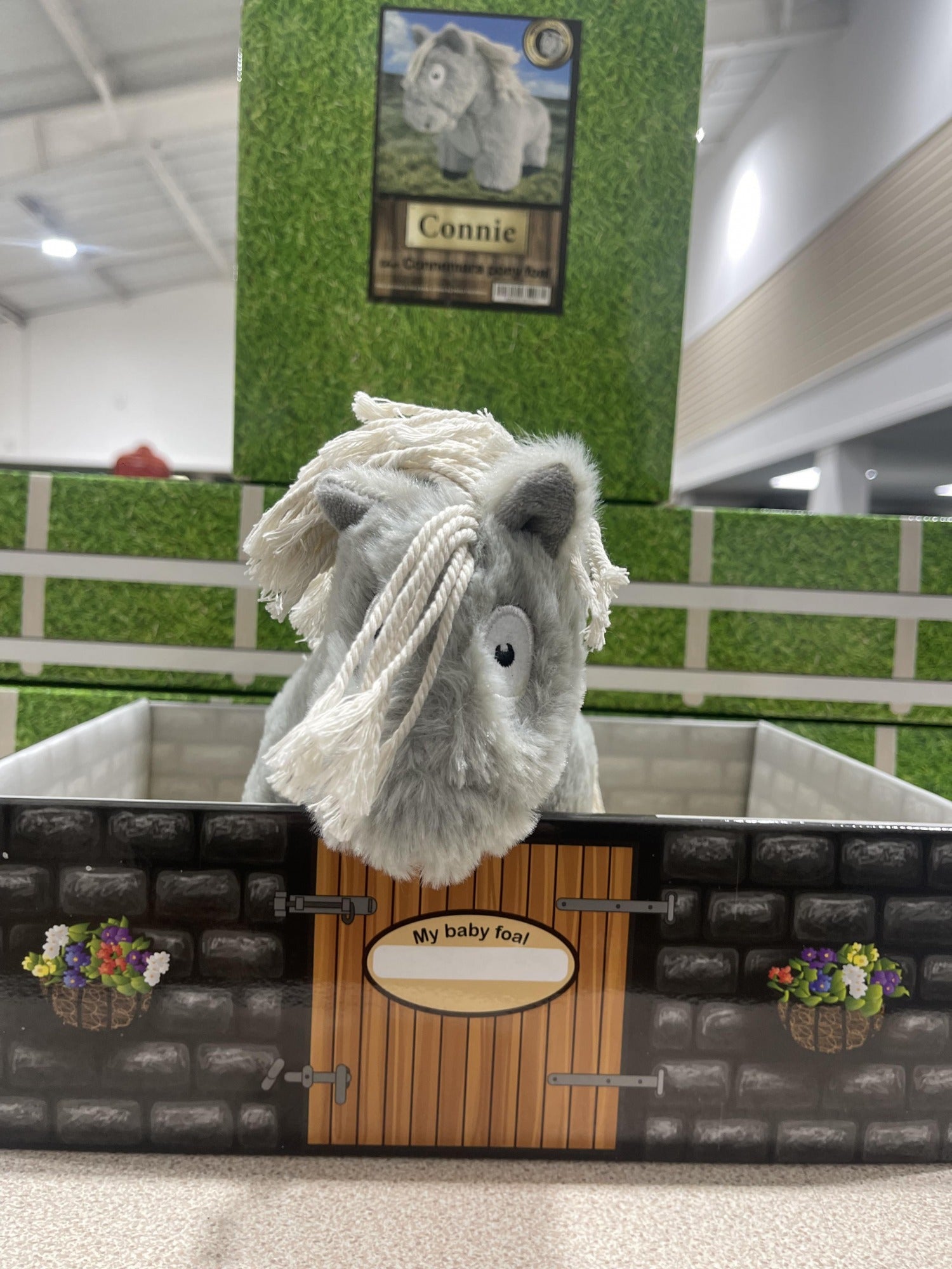 Crafty Ponies Boxed Foal