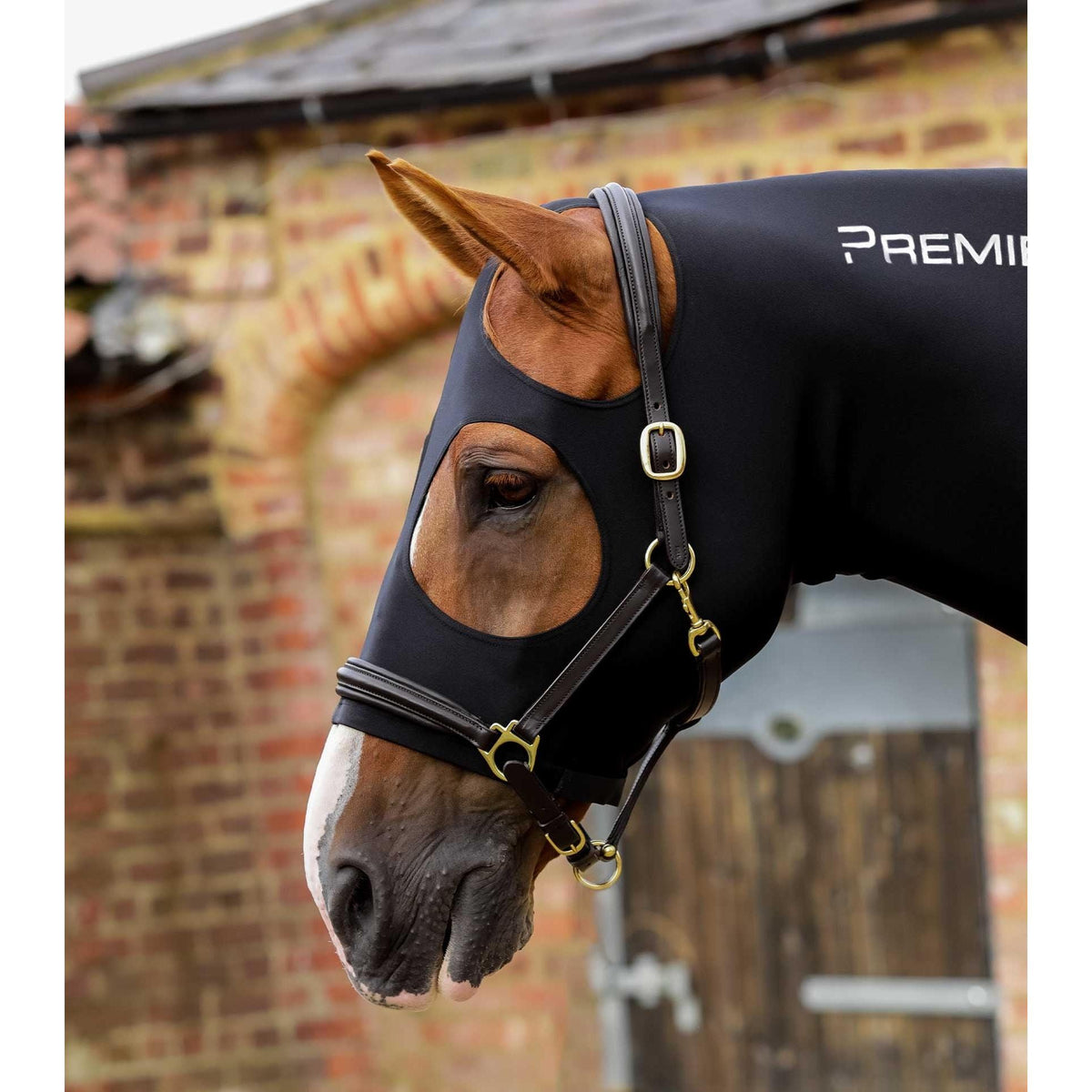 PREMIER EQUINE STRETCH   LYCRA HOOD