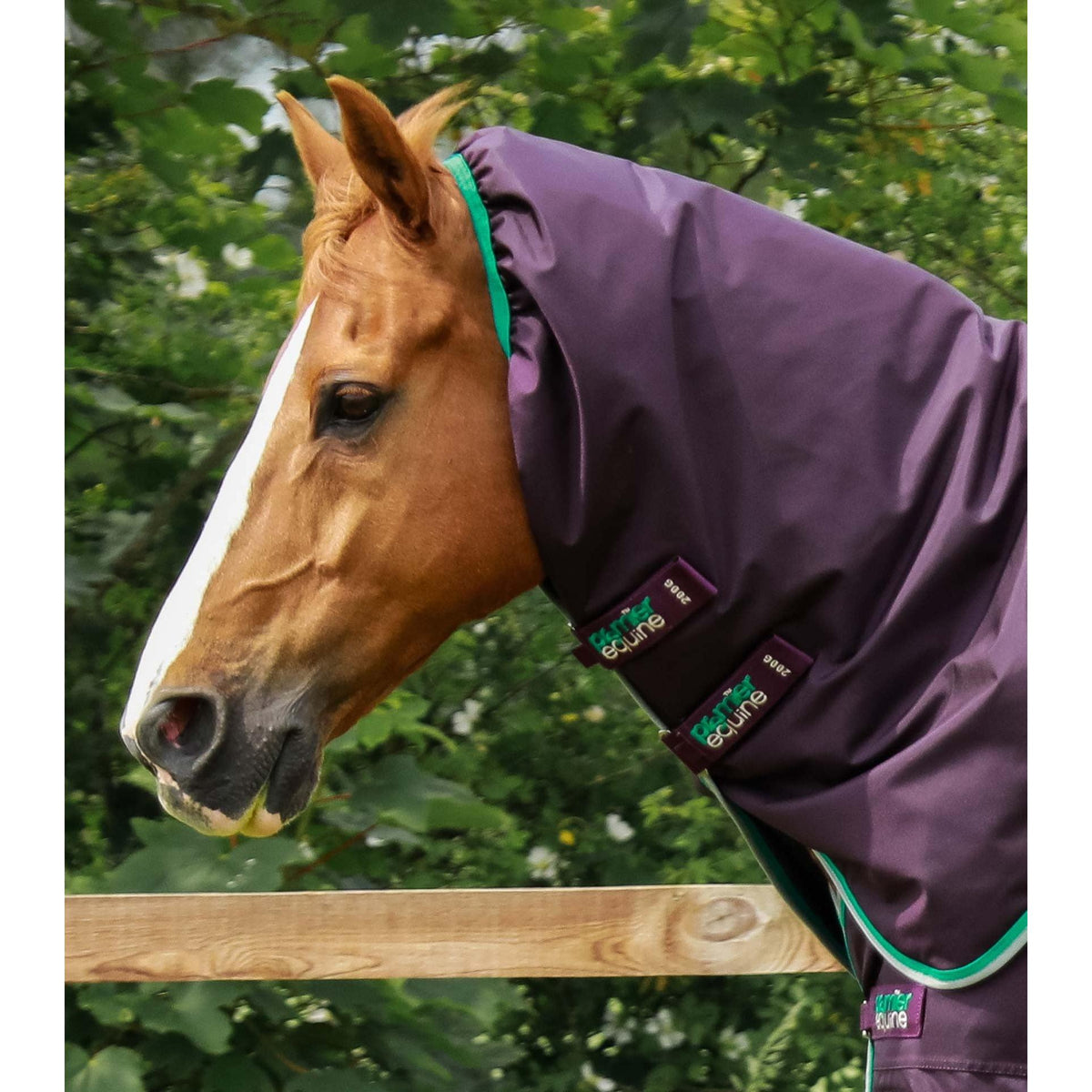 Buster 200g Turnout Rug with Snug-Fit Neck Cover
