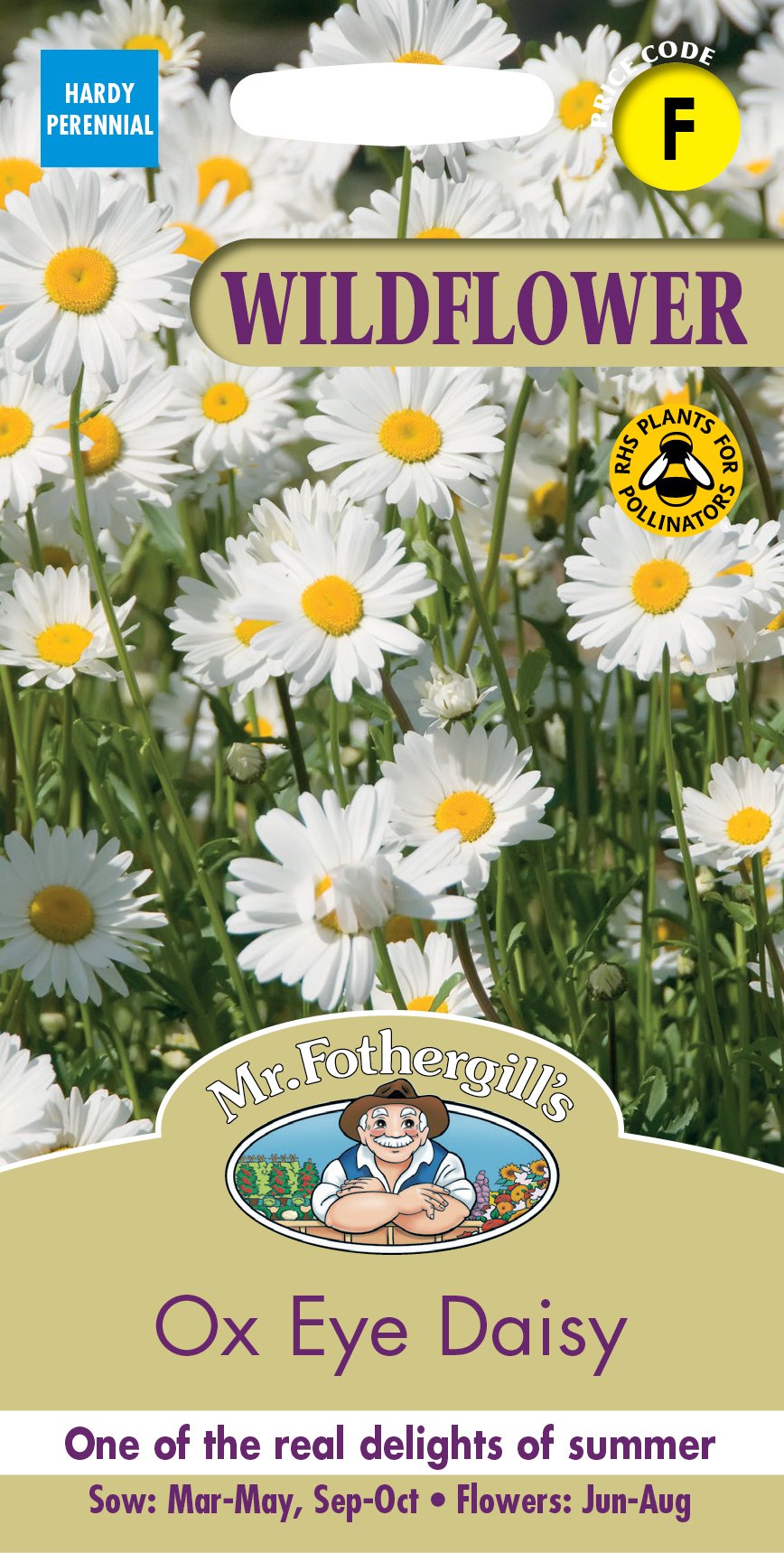 Fothergills Wild Flower Ox Eye Daisy