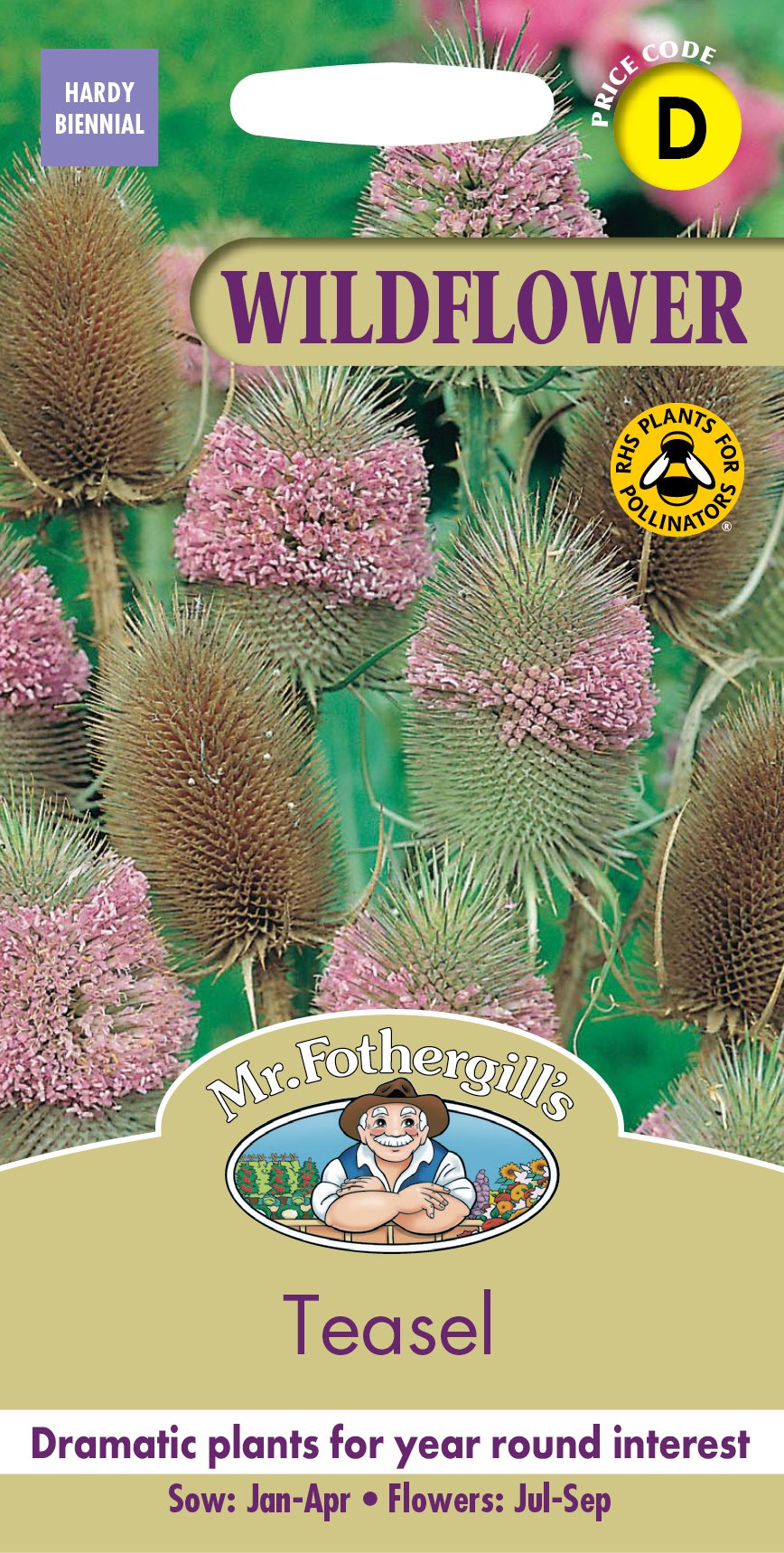 Fothergills Wildlife Garden Teasel