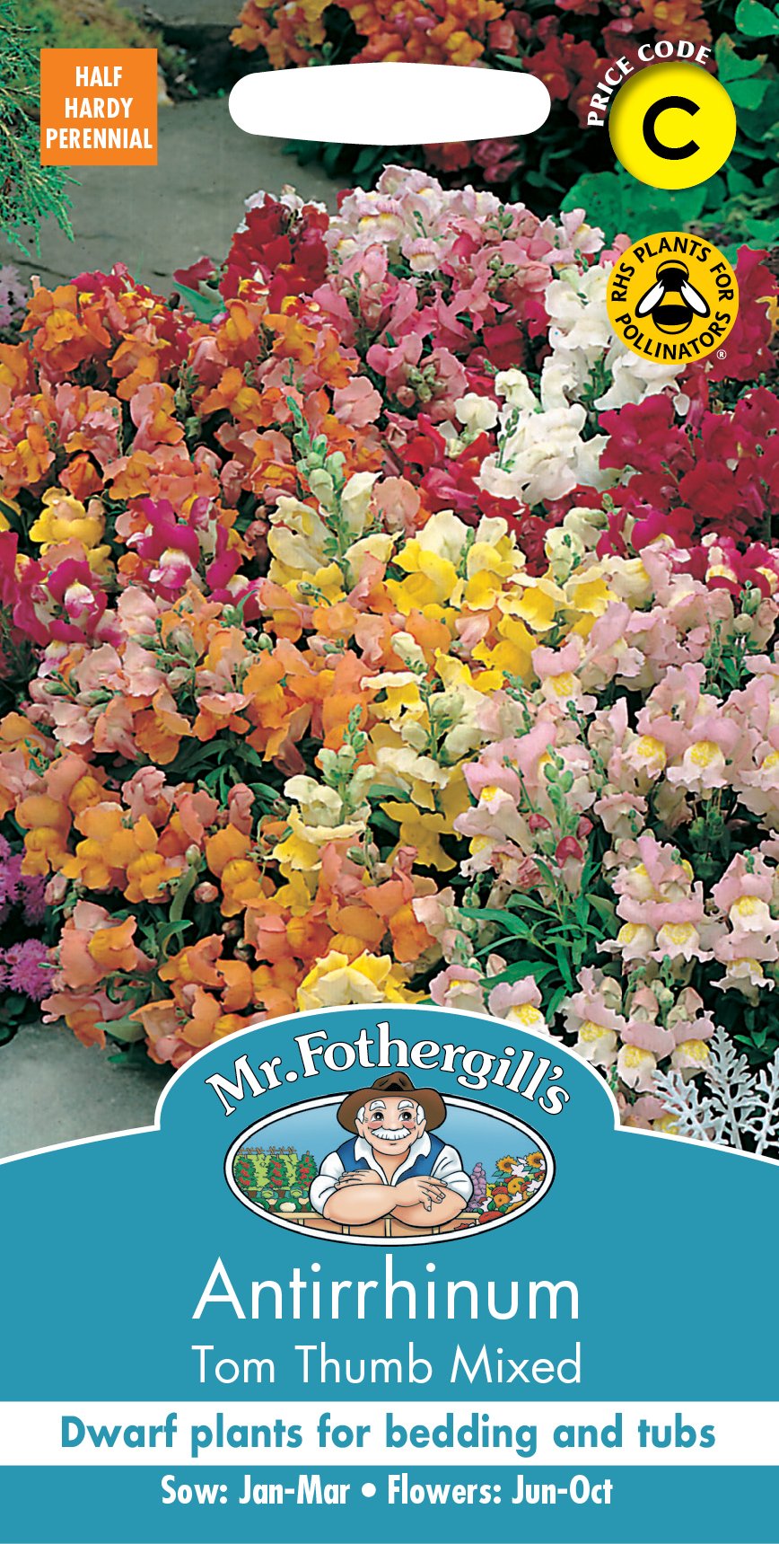 Fothergills Antirrhinum Tom Thumb Mixed