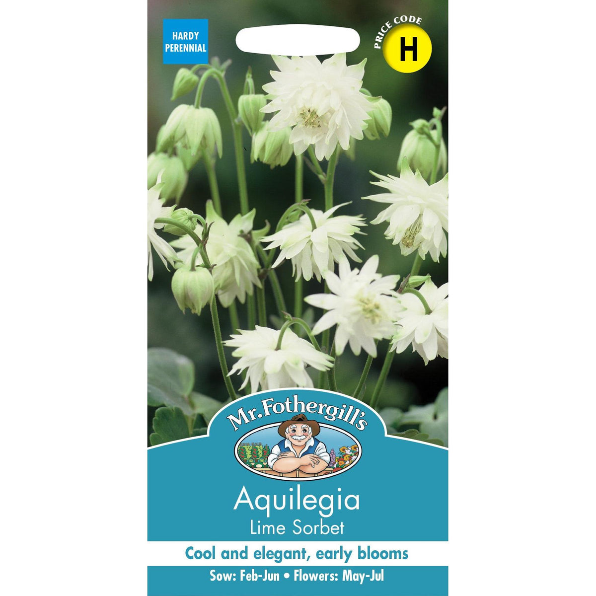 Fothergills Aquilegia Lime Sorbet