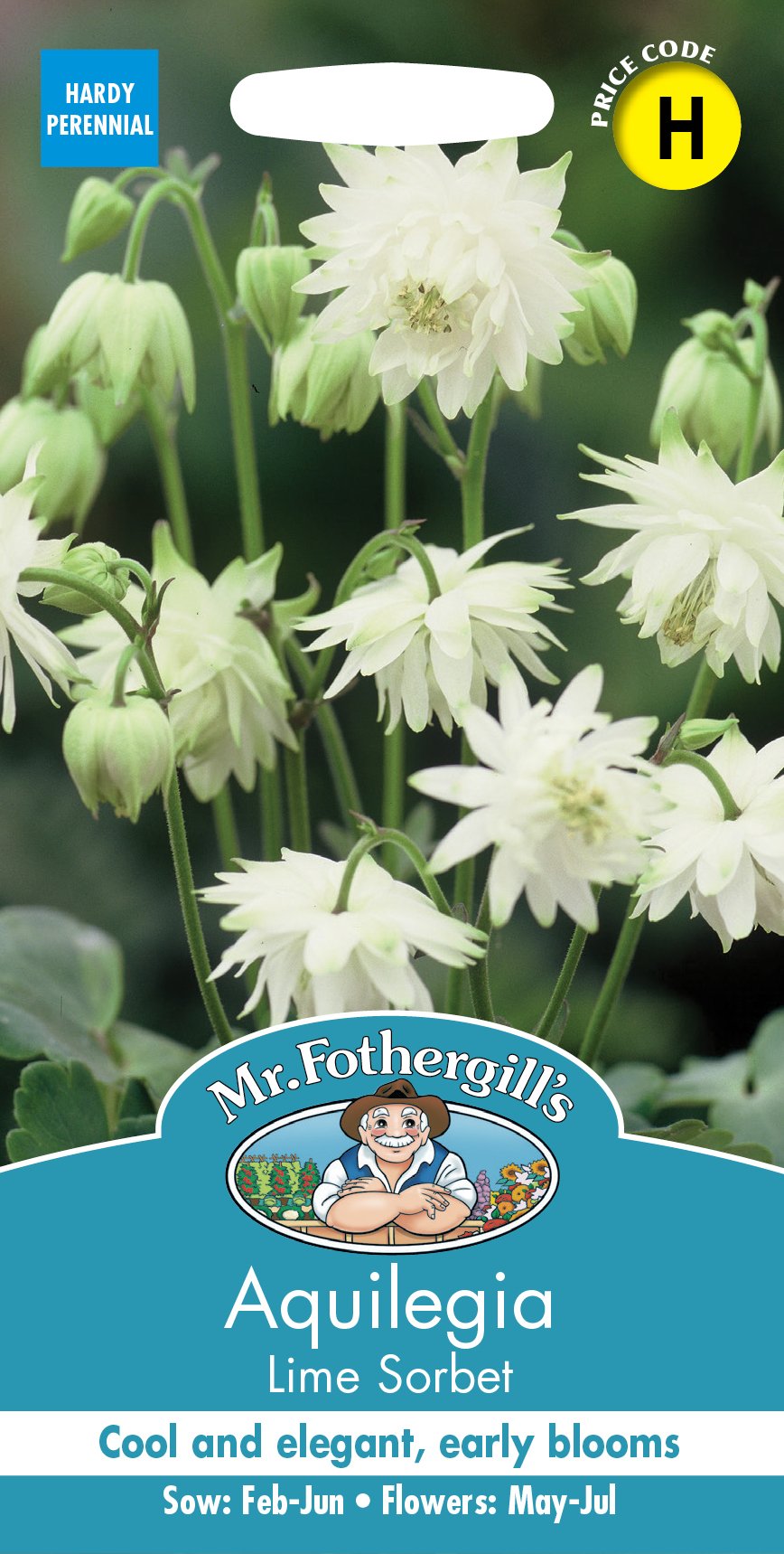 Fothergills Aquilegia Lime Sorbet