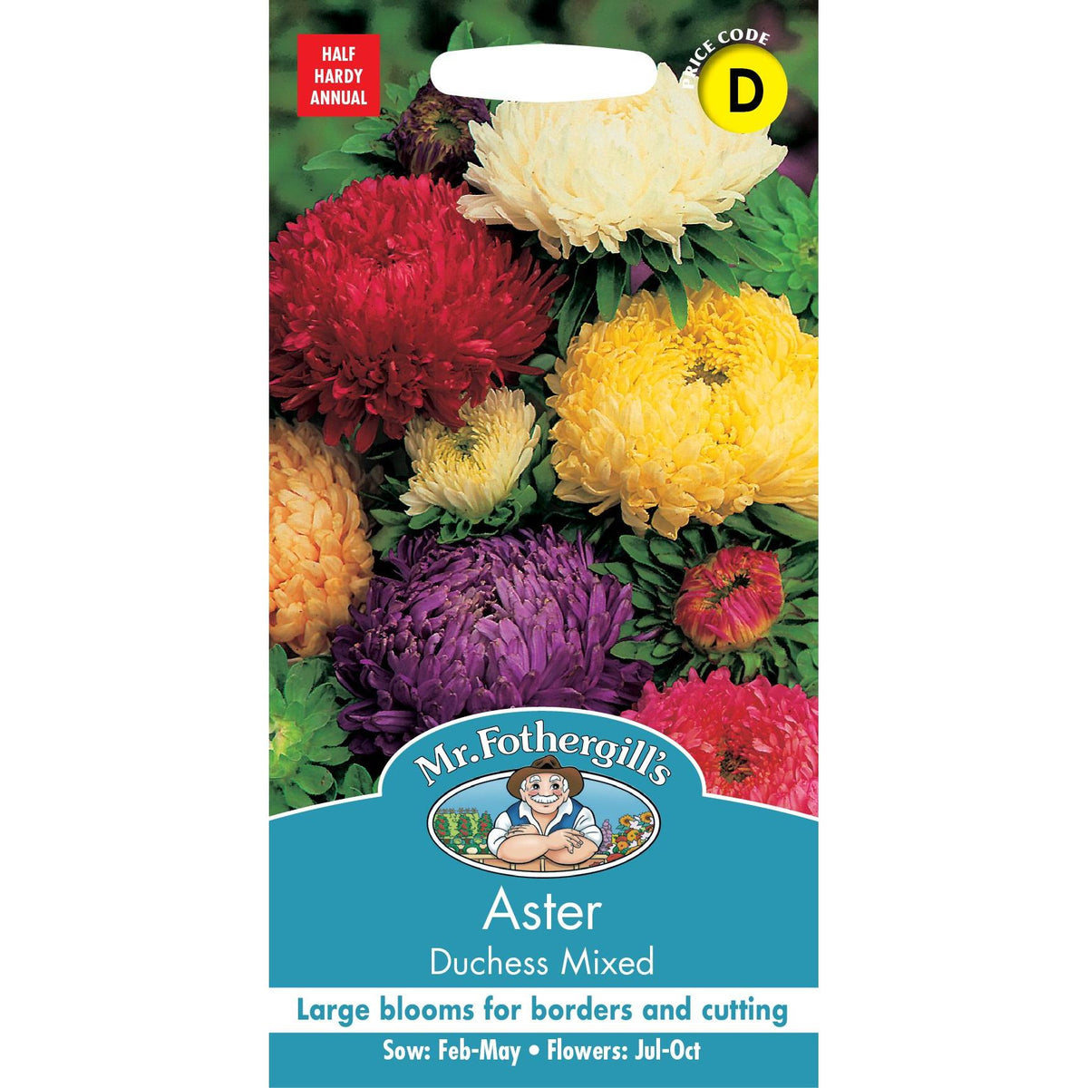 Fothergills Aster Duchess Mixed