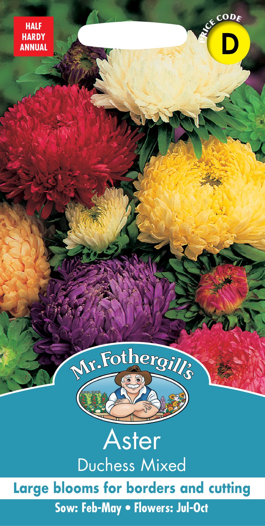 Fothergills Aster Duchess Mixed