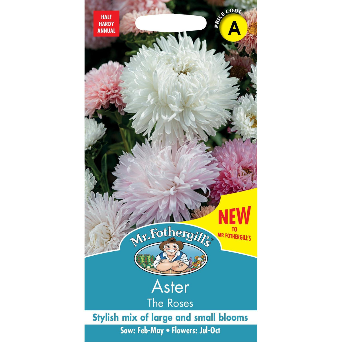 Fothergills Aster The Roses