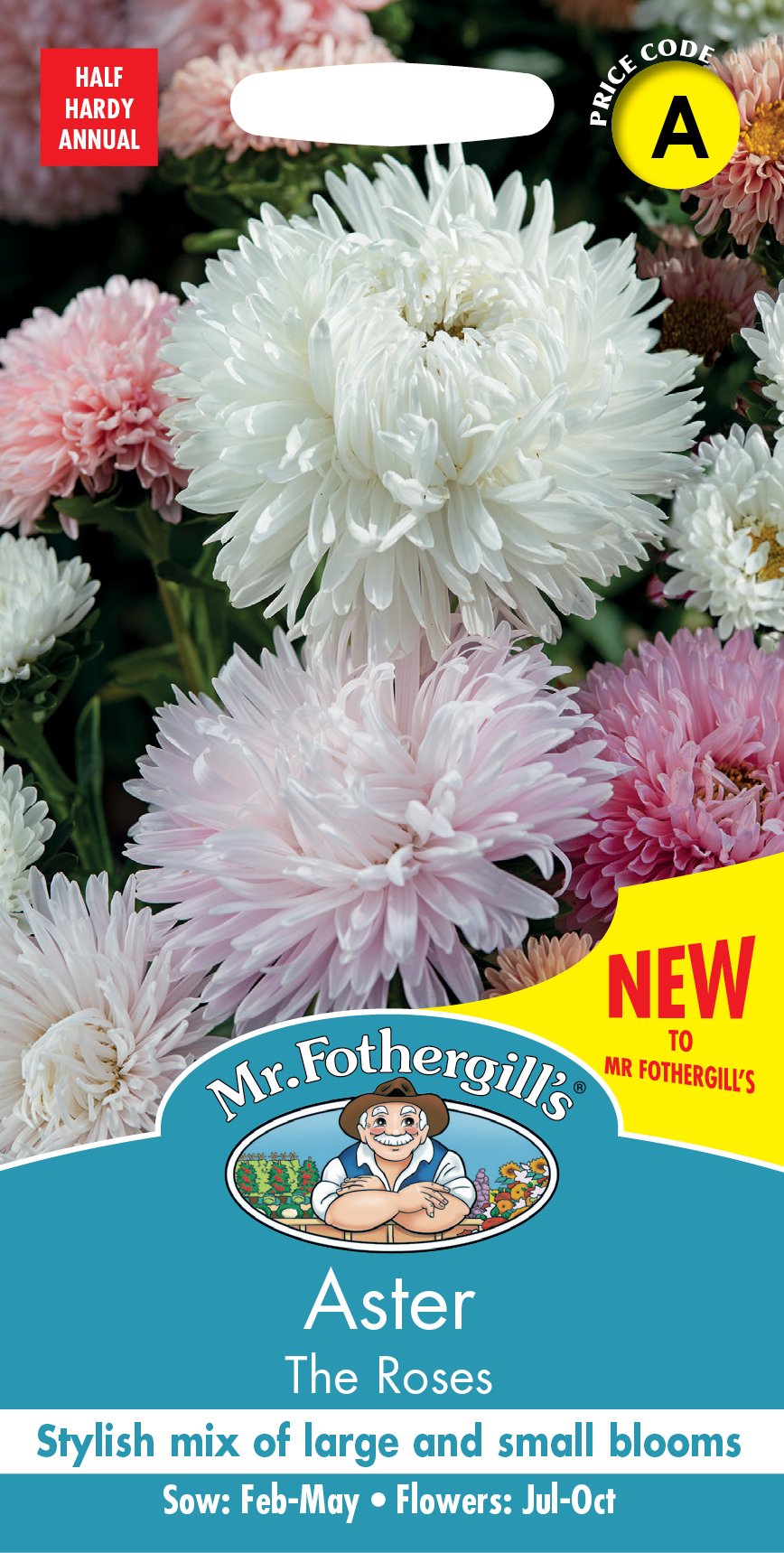 Fothergills Aster The Roses