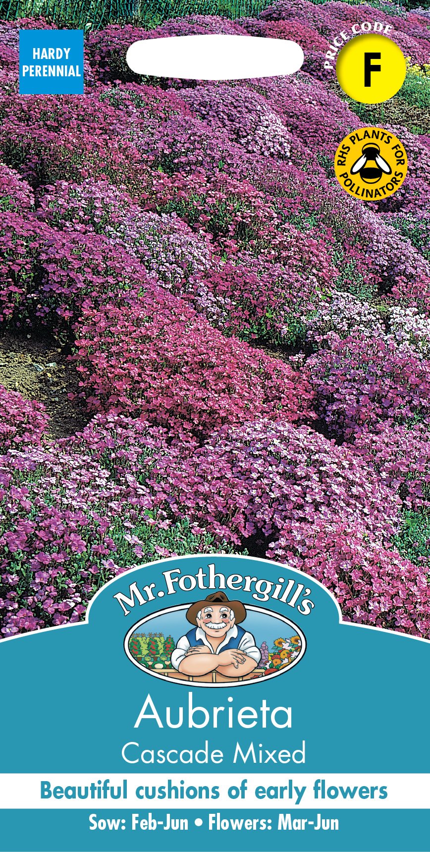 Fothergills Aubrieta Cascade Mixed