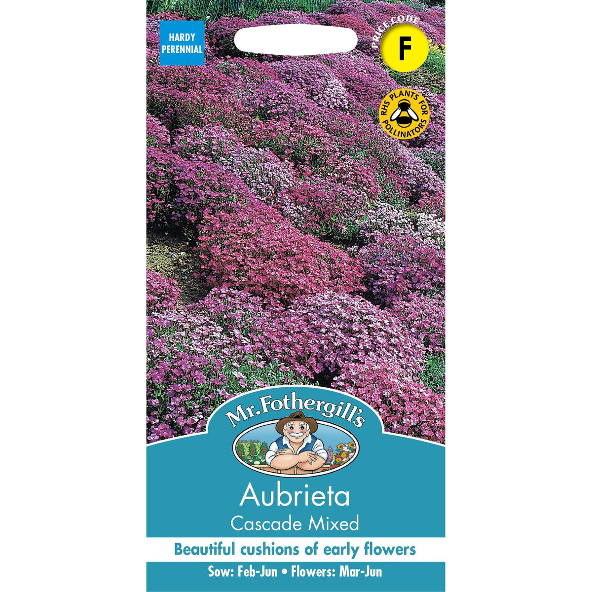 Fothergills Aubrieta Cascade Mixed