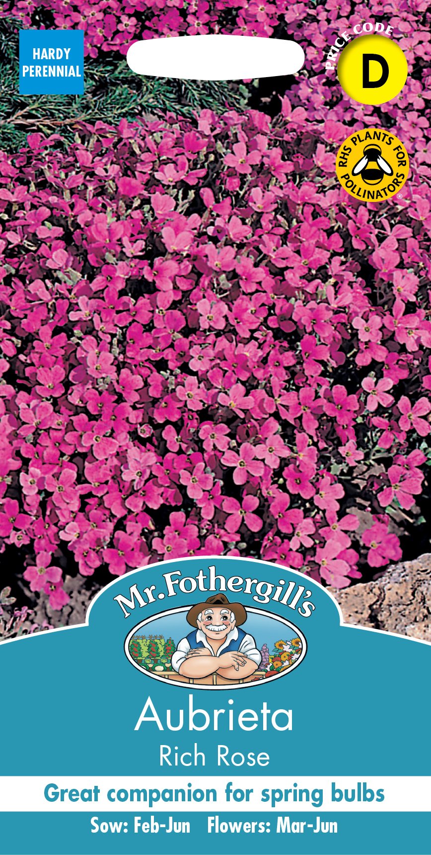 Fothergills Aubrietia Rich Rose