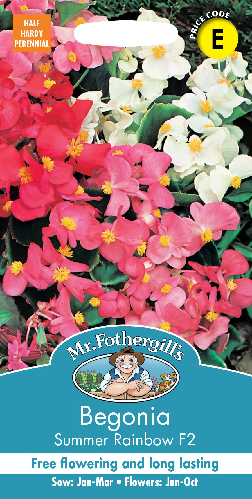 Fothergills Begonia Summer Rainbow F2