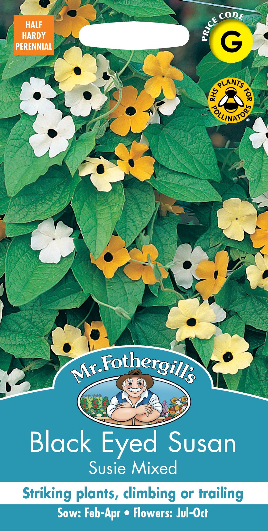 Fothergills Black Eyed Susan Susie Mixed