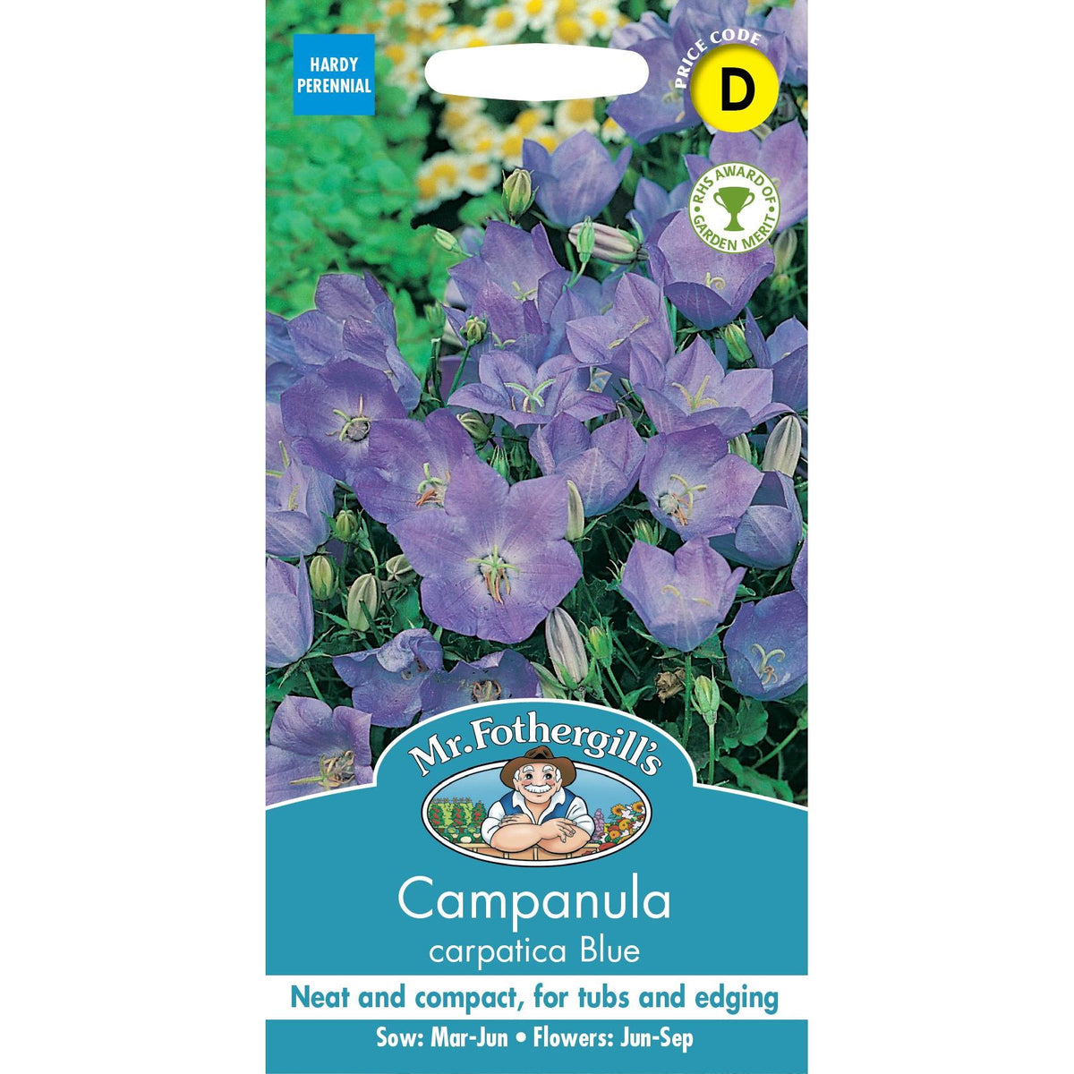 Fothergills Campanula Carpatica Blue