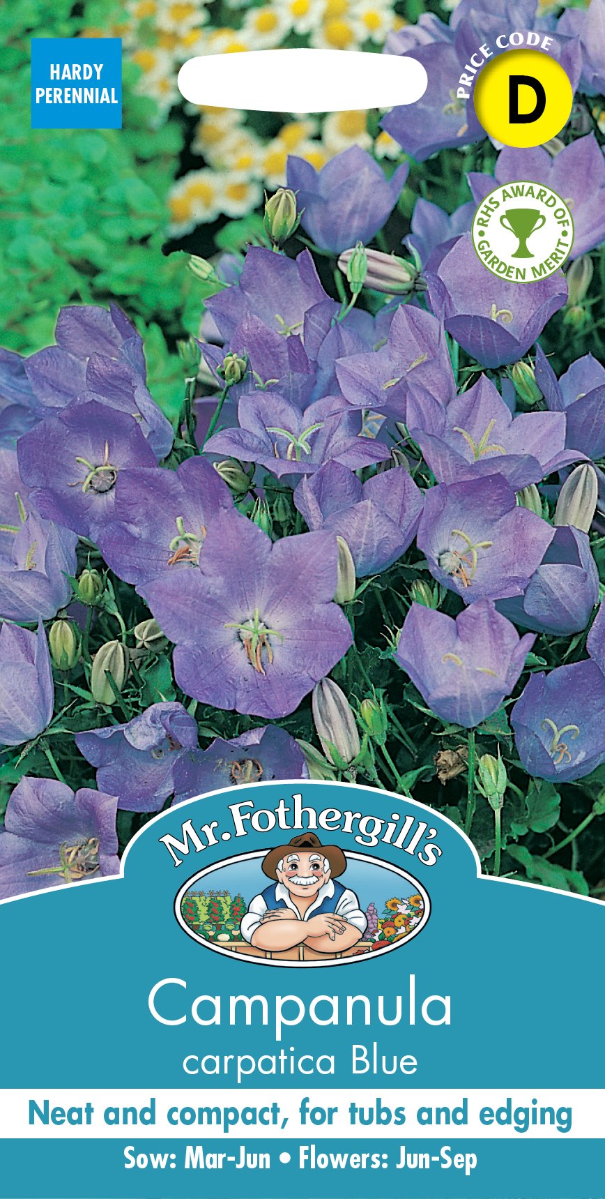 Fothergills Campanula Carpatica Blue