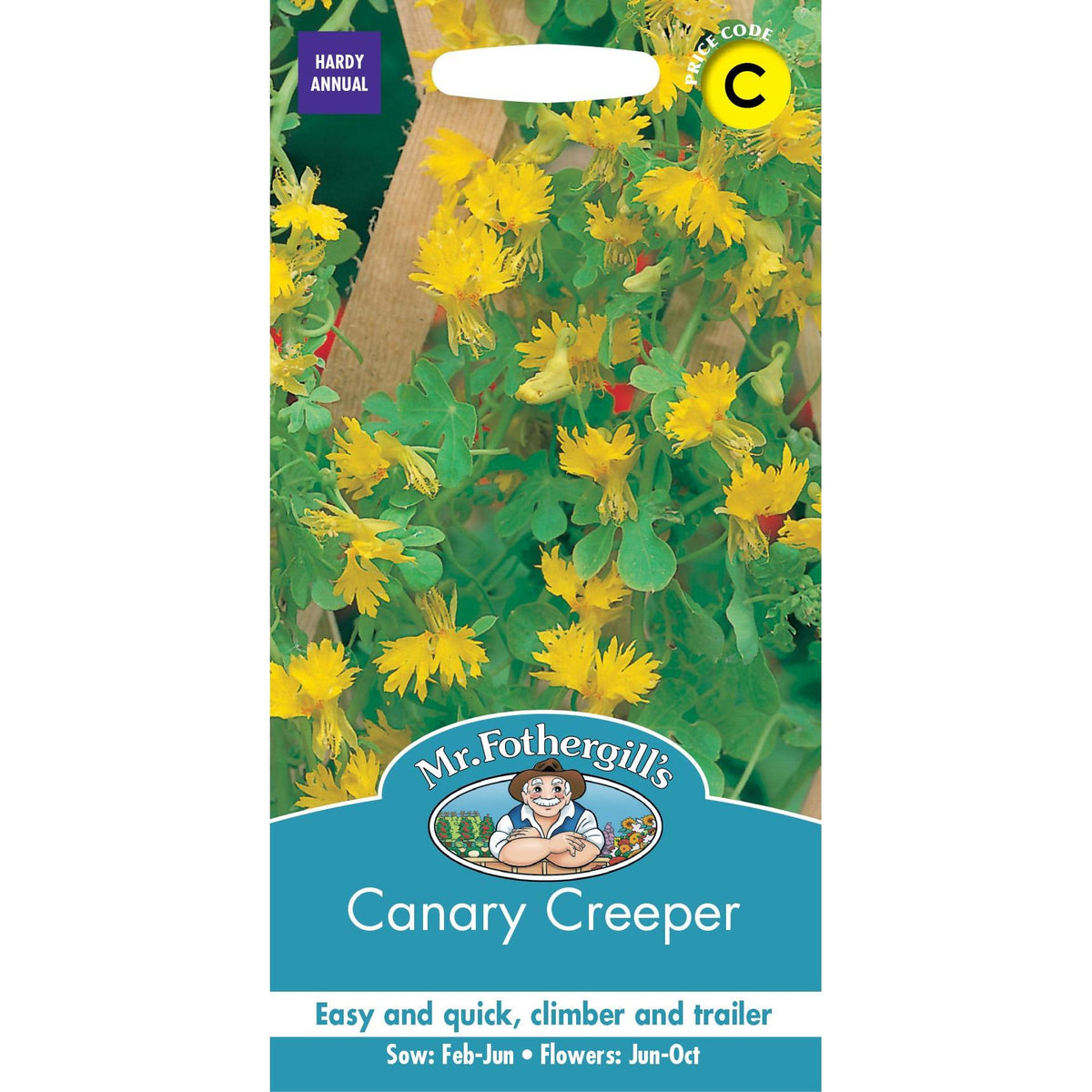 Fothergills Canary Creeper