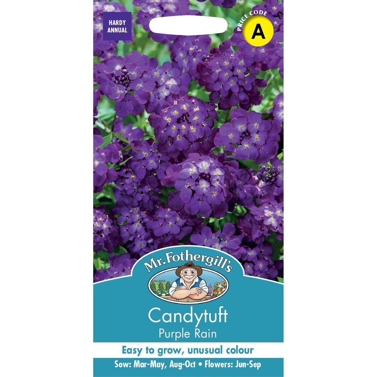 Fothergills Candytuft Purple Rain