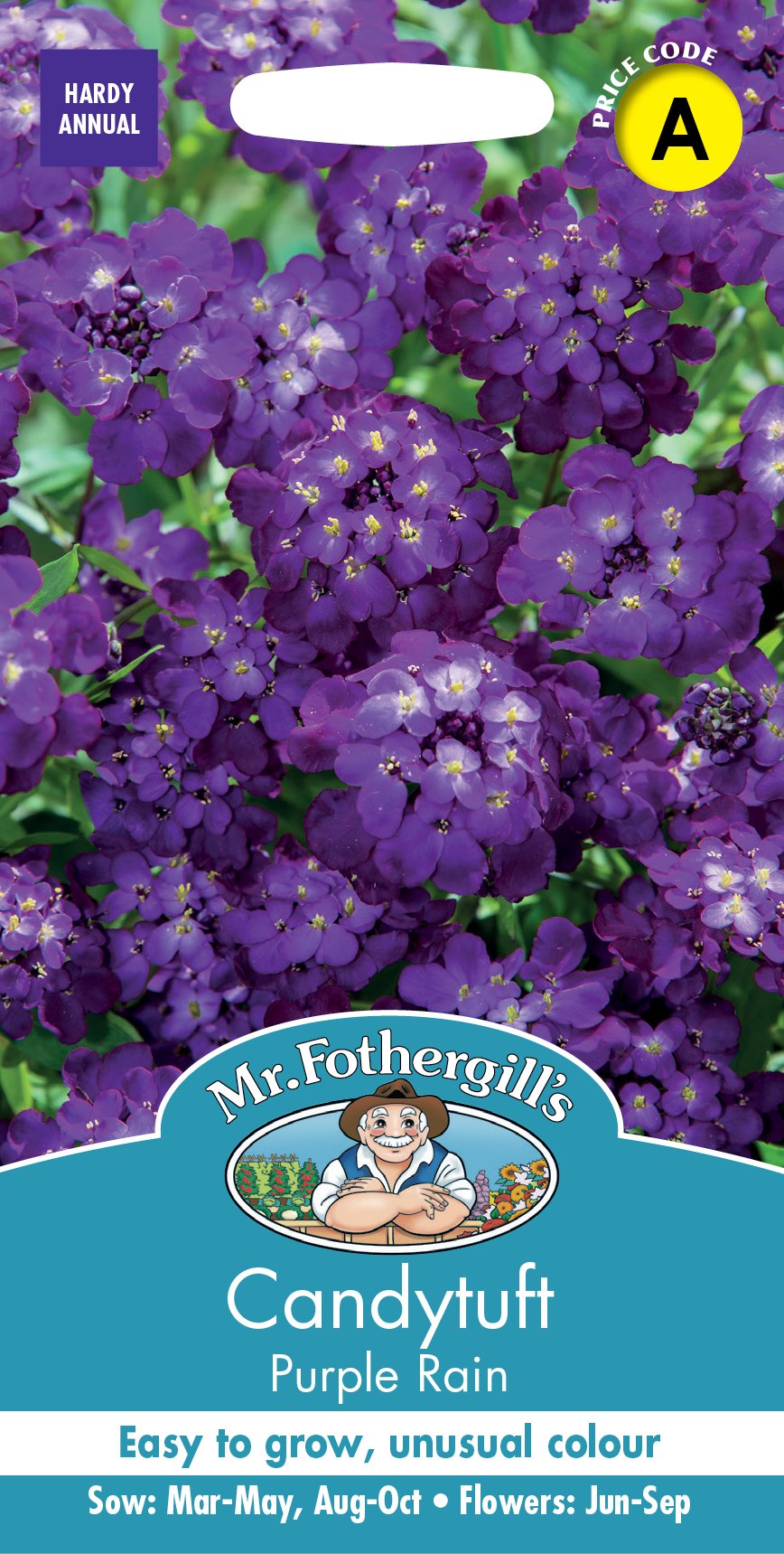 Fothergills Candytuft Purple Rain