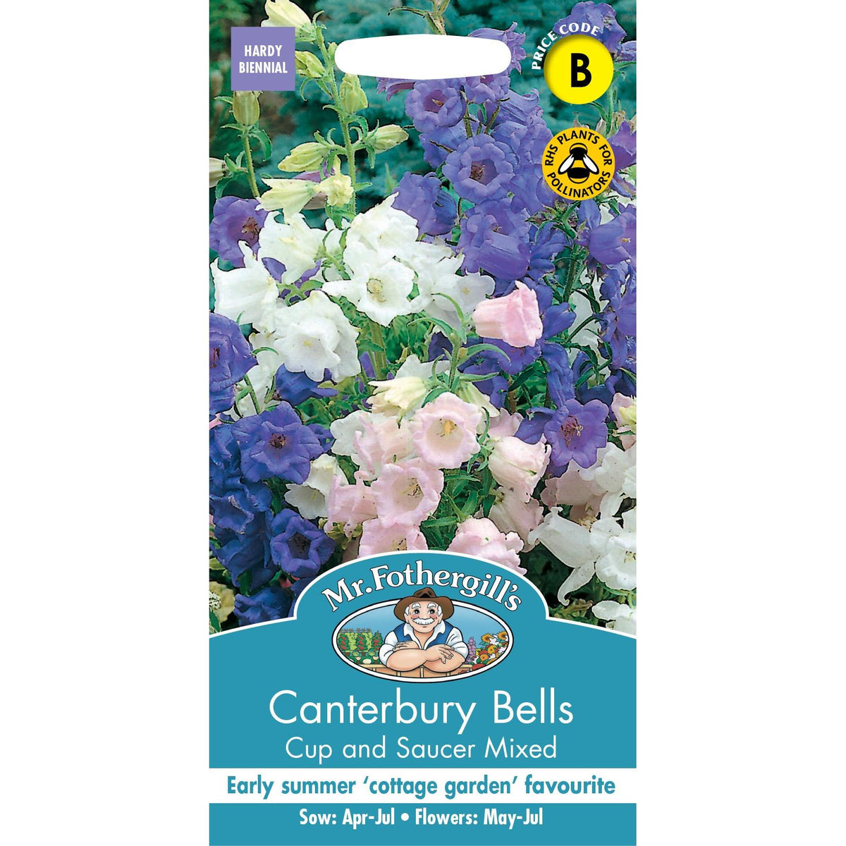 Fothergills Canterbury Bells Cup & Saucer Mixed