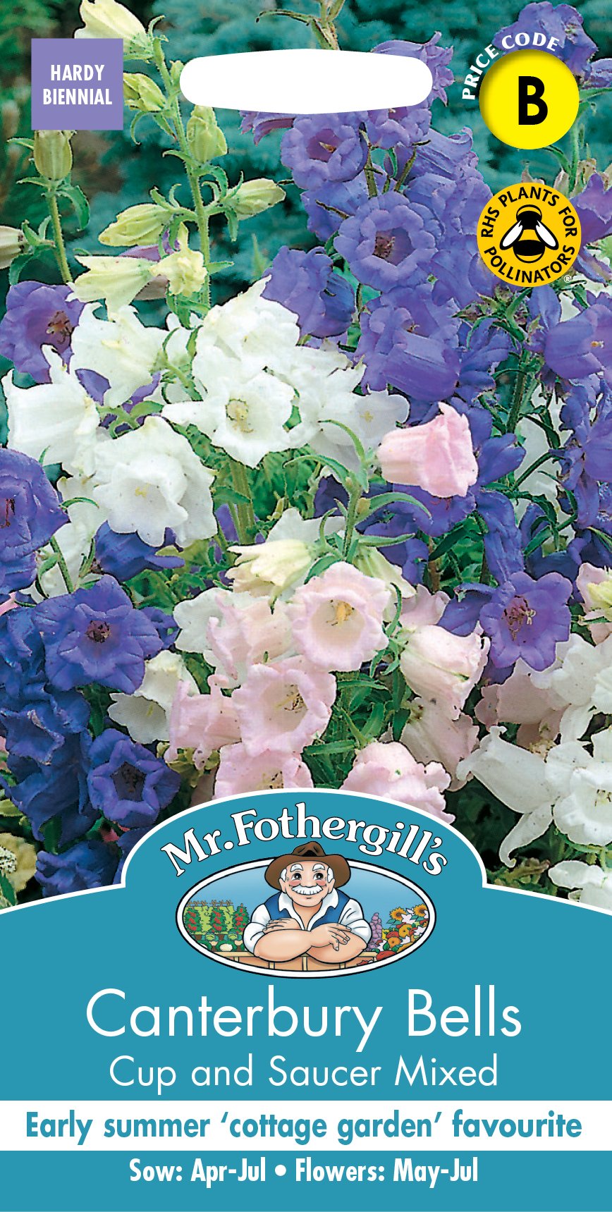 Fothergills Canterbury Bells Cup & Saucer Mixed