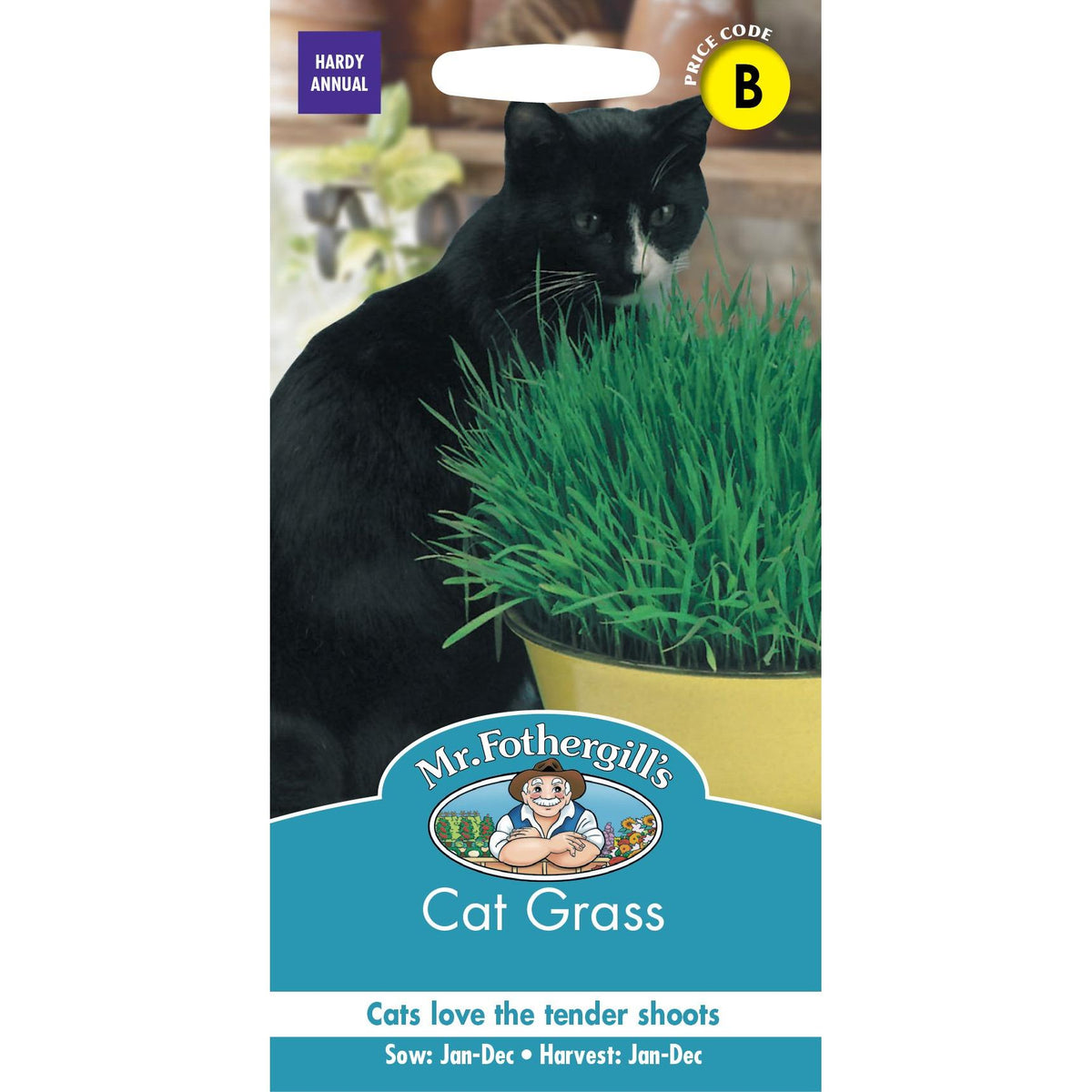Fothergills Cat Grass Seed
