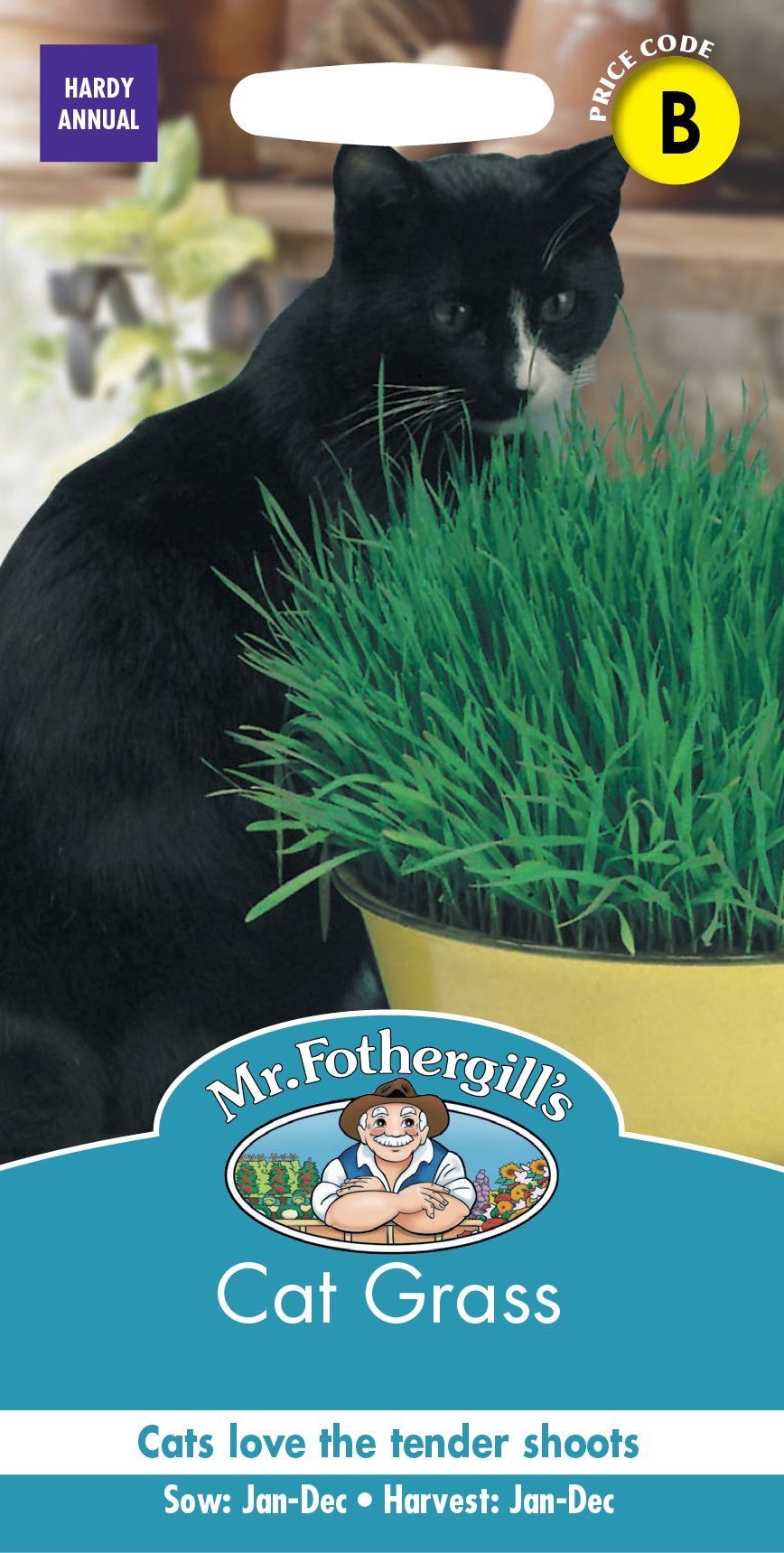 Fothergills Cat Grass Seed