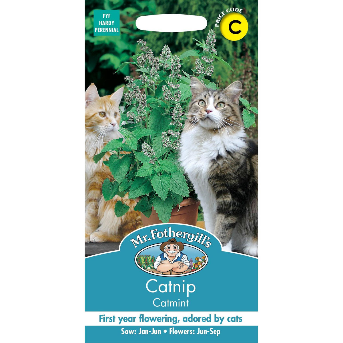 Fothergills Catmint Catnip