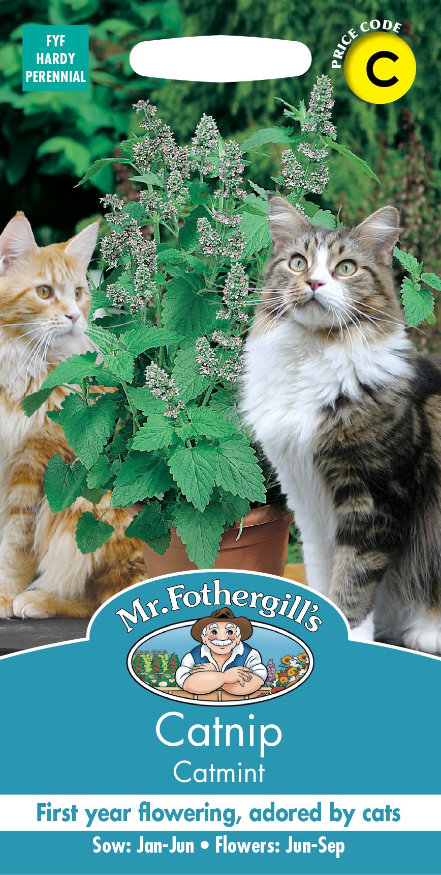 Fothergills Catmint Catnip