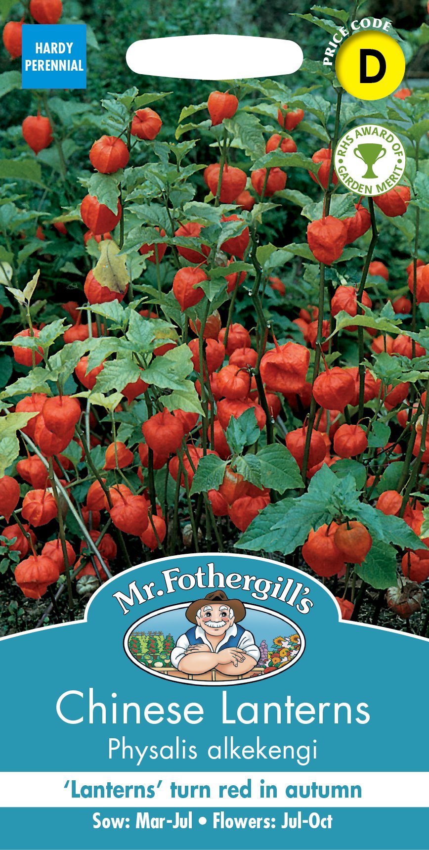 Fothergills Chinese Lantern Physalis Alkekengi