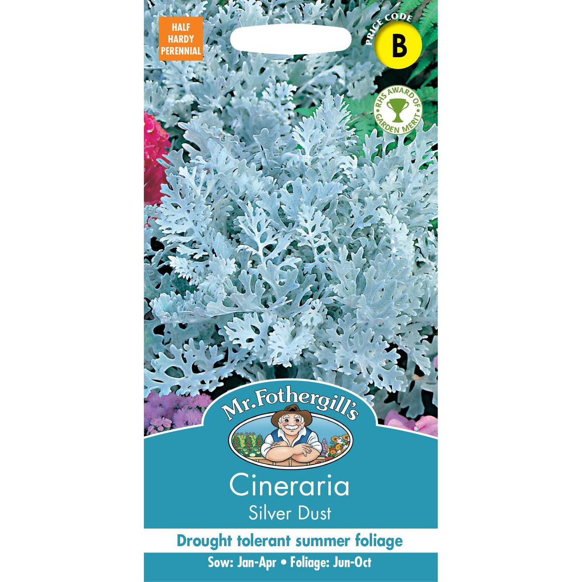 Fothergills Cineraria Silver Dust