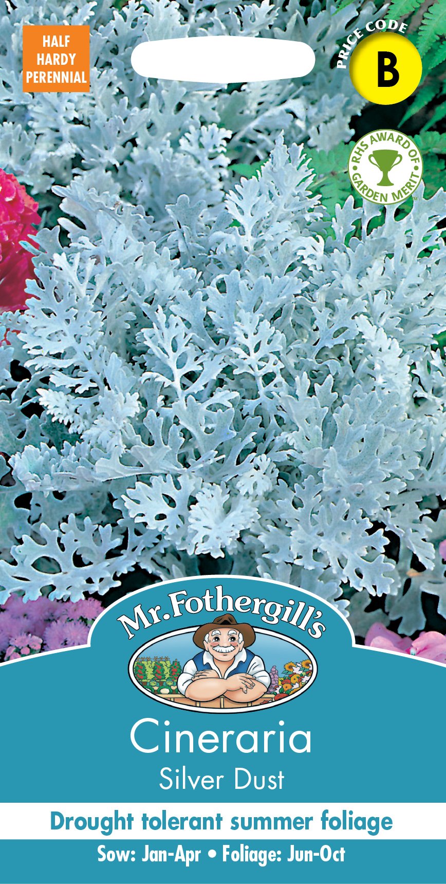 Fothergills Cineraria Silver Dust