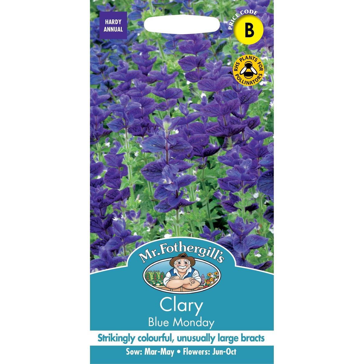 Fothergills Clary Blue Monday