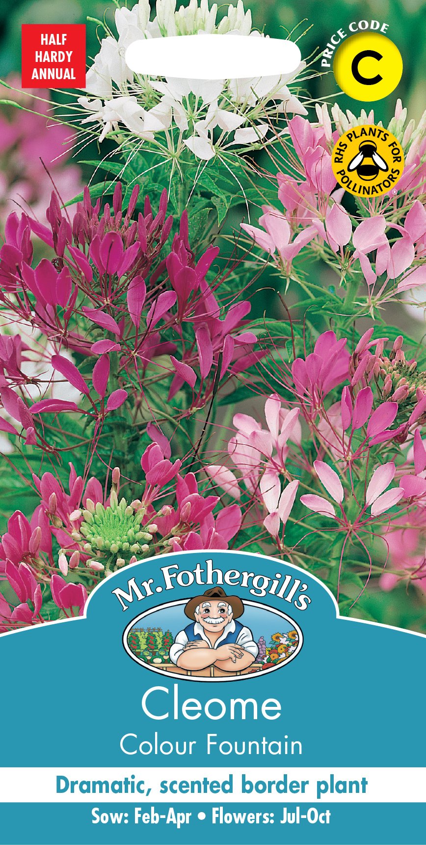 Fothergills Cleome Colour Fountain