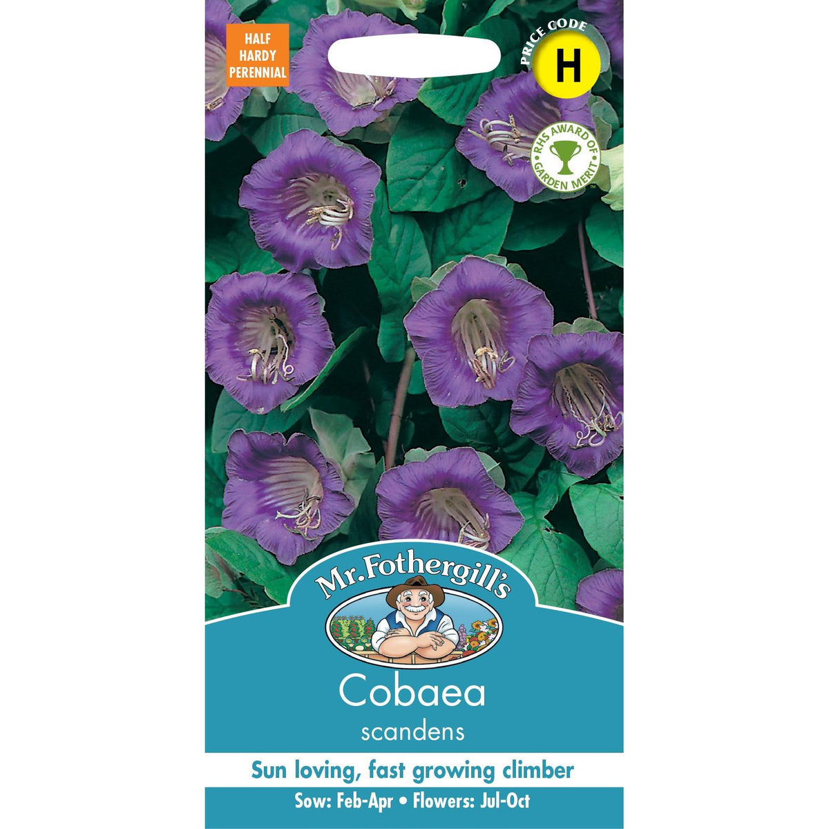 Fothergills Cobaea Scandens