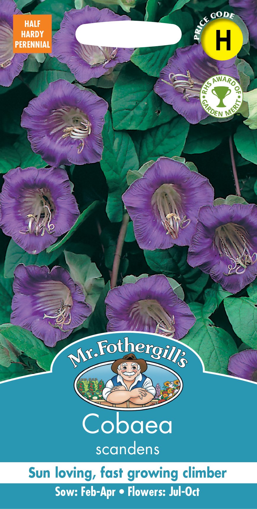 Fothergills Cobaea Scandens