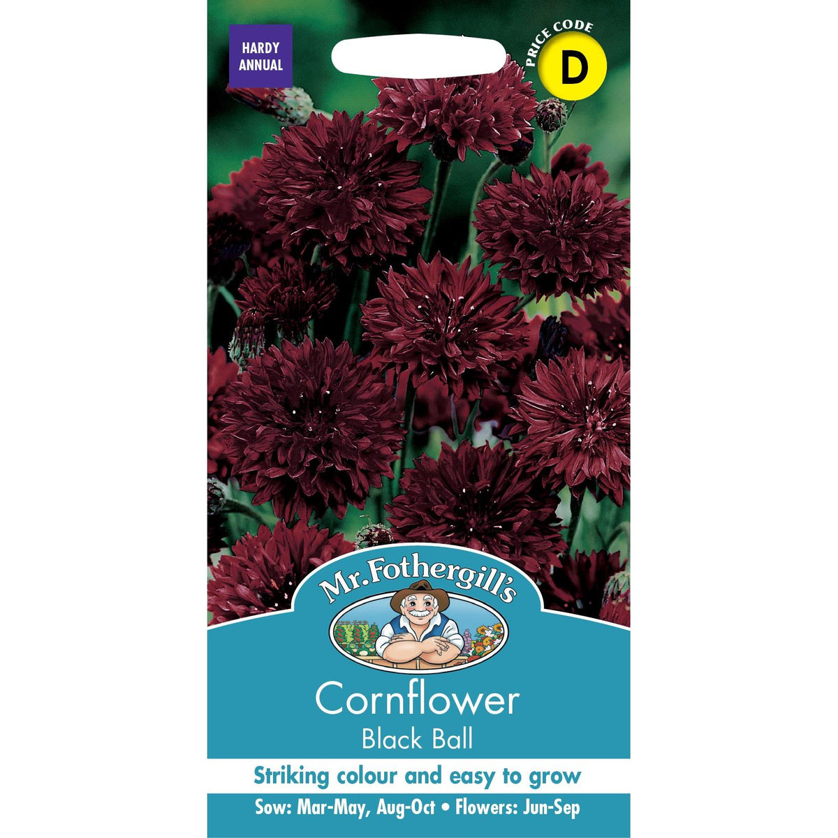 Fothergills Cornflower Black Ball