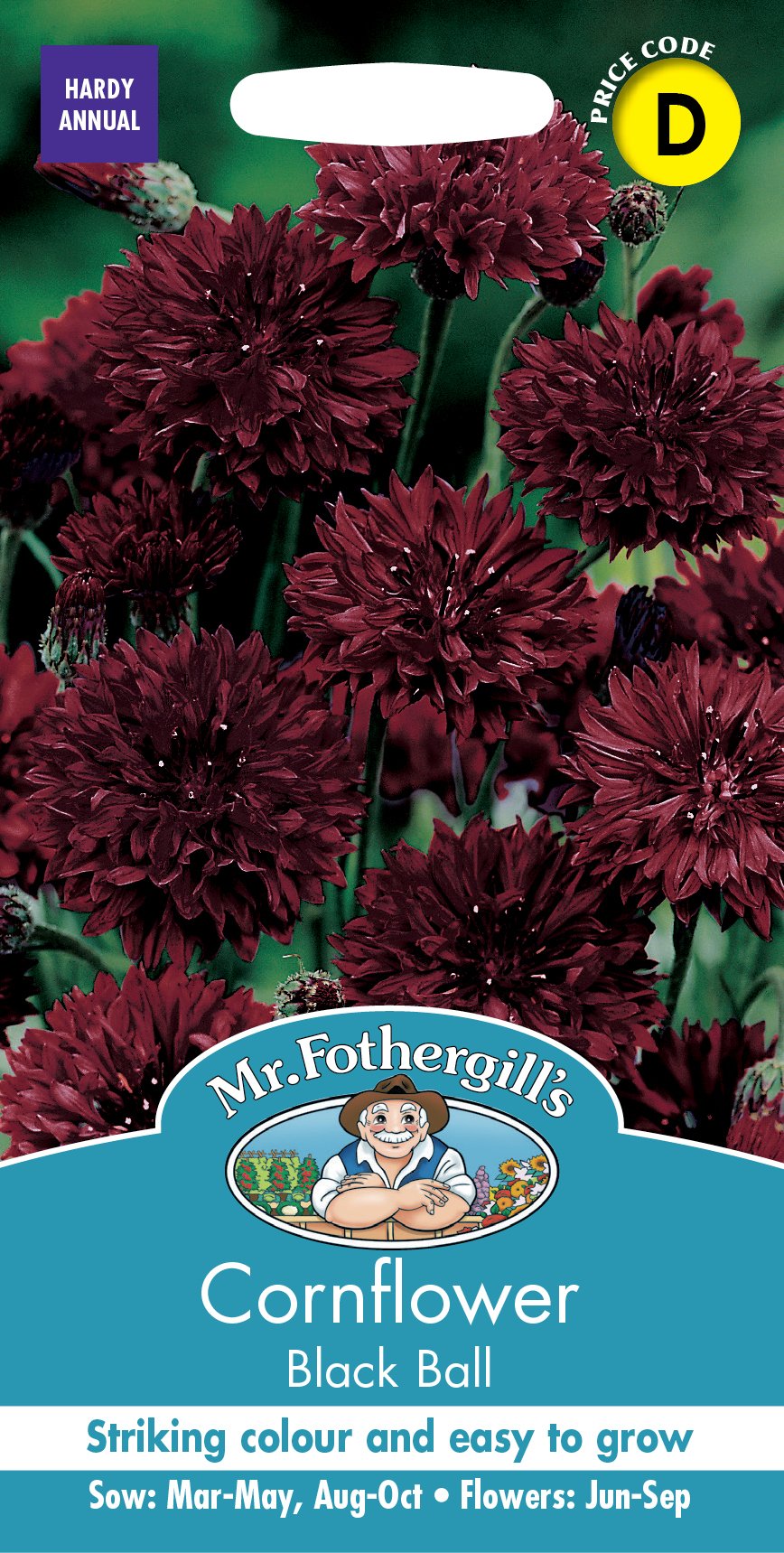 Fothergills Cornflower Black Ball