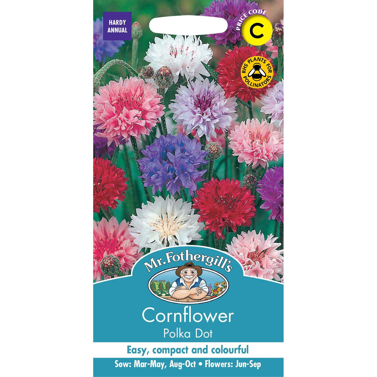 Fothergills Cornflower Polka Dot