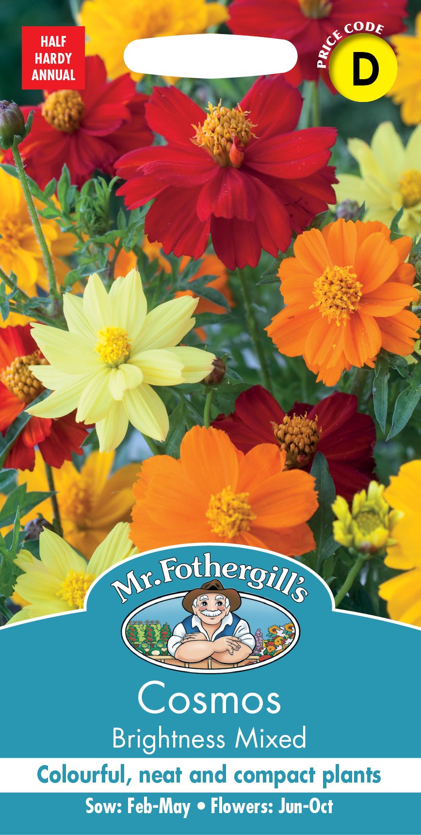 Fothergills Cosmos Brightness Mixed